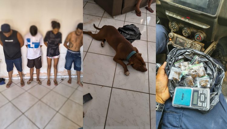 Cachorro solto leva PM a imóvel onde dois homens são presos em Cuiabá