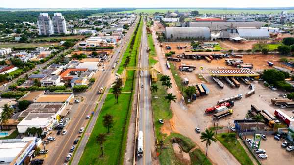Nova Rota do Oeste retirará sete palmeiras na área urbana da BR-163 em Lucas do Rio Verde